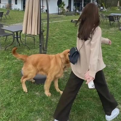 楚汉骄雄粤语